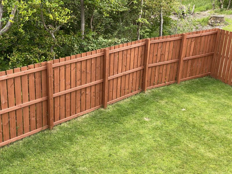 Cedar Fence Staining